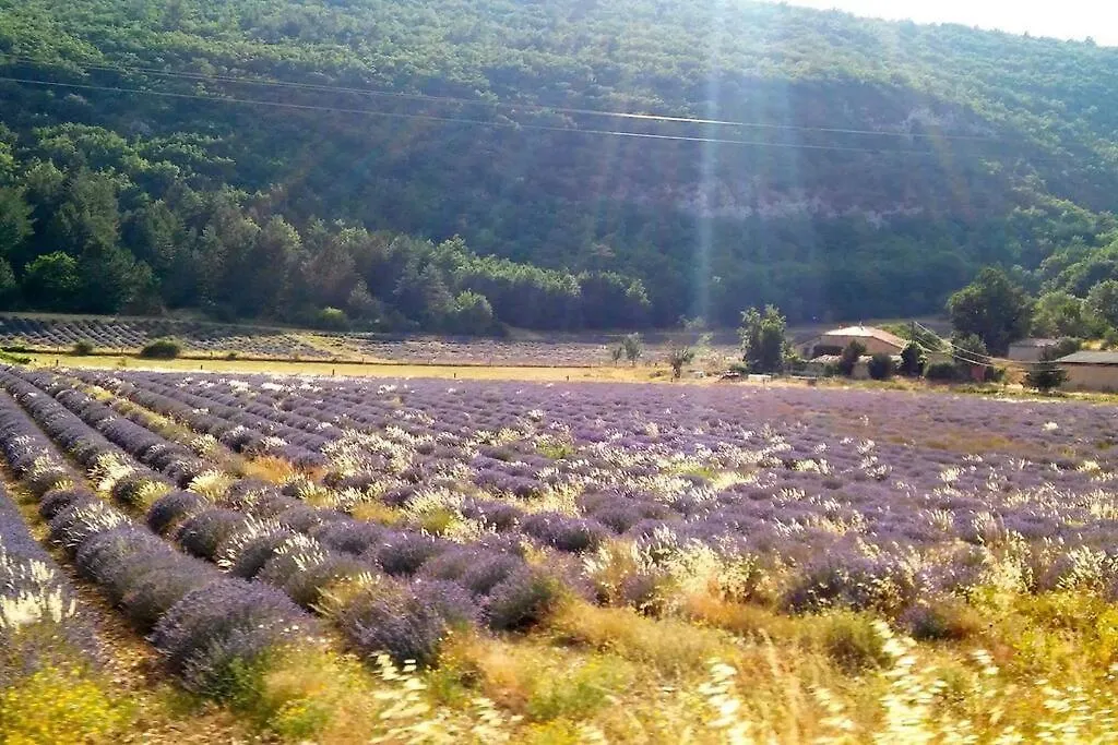 Location Provence Ventoux Sault Villa